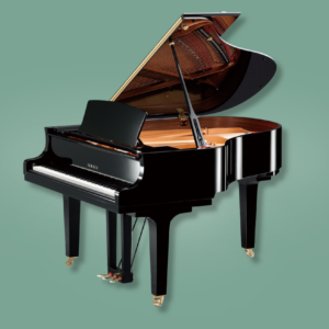 Yamaha C2X PE