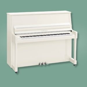 Yamaha B30 SC3