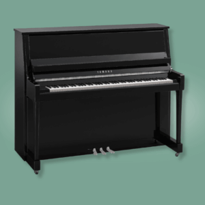 Yamaha B30