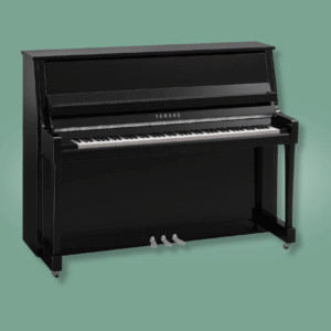 Yamaha B20