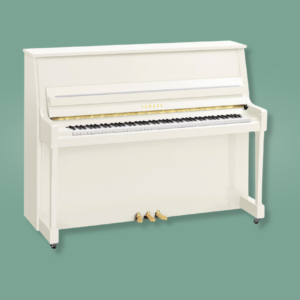 Yamaha B20 SC3