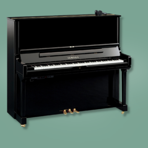 Yamaha YUS3 SH3 PE