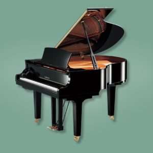 Yamaha C1X SH3 PE