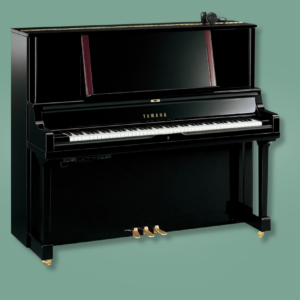 Yamaha YUS5 SH3 PE
