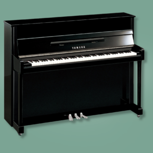Yamaha b2 PEC