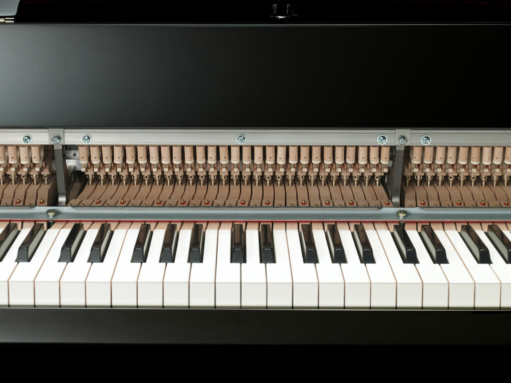 Yamaha N-3X Avant Grand