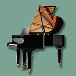 Schimmel C 169 Tradition