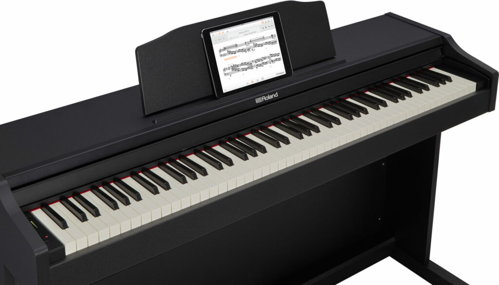 Roland RP-102 BK