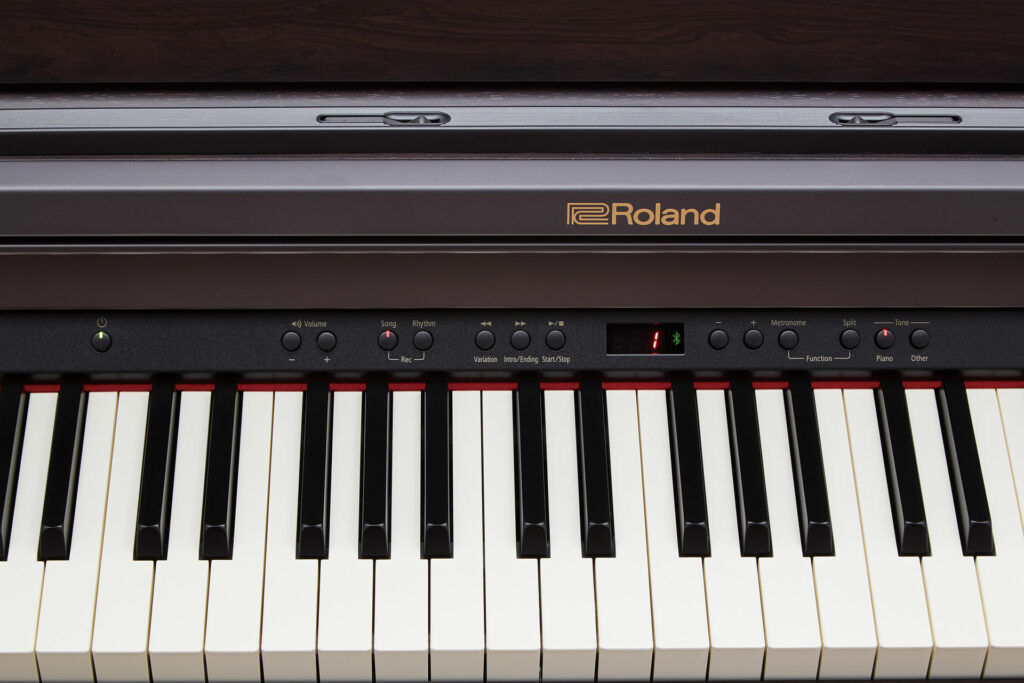 Roland RP-501 CR