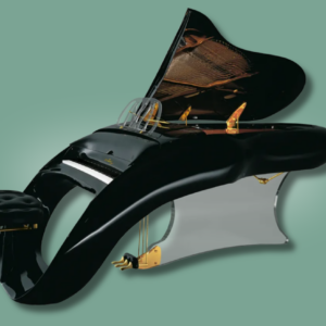 Schimmel K 208 Pegasus