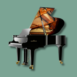 Schimmel K 195 Tradition