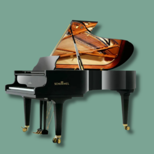 Schimmel K 219 Tradition