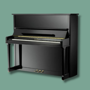 Schimmel K 132 Tradition