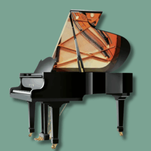 Wilhelm Schimmel W 206 Tradition