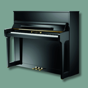 Wilhelm Schimmel W-118 Tradition TwinTone