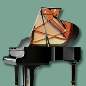 Wilhelm Schimmel W 180 Tradition